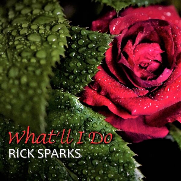 Cover art for What'll I Do